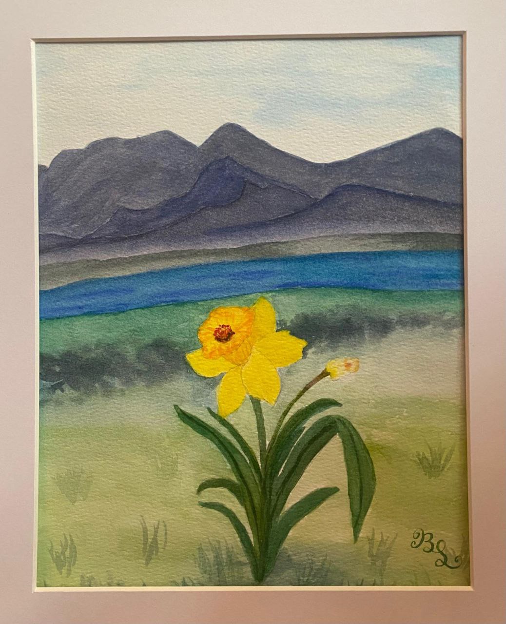 daffodil dreams mountains