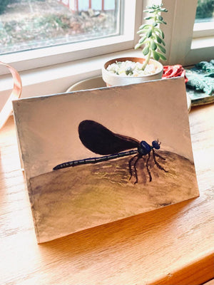 Ebony Jewel Damselfly Greeting Card